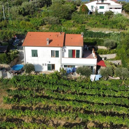 In Vino Veritas 阿尔科拉 外观 照片