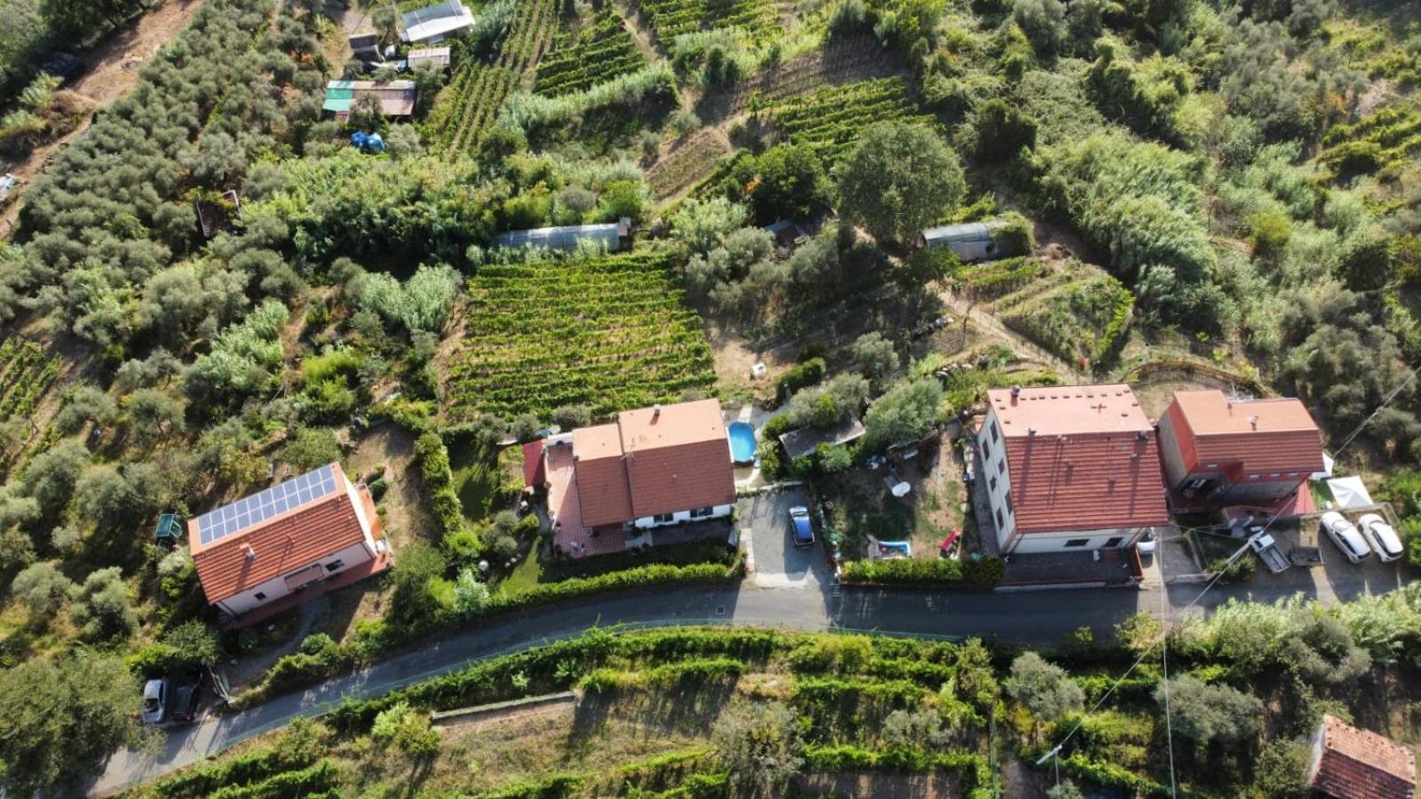 In Vino Veritas 阿尔科拉 外观 照片