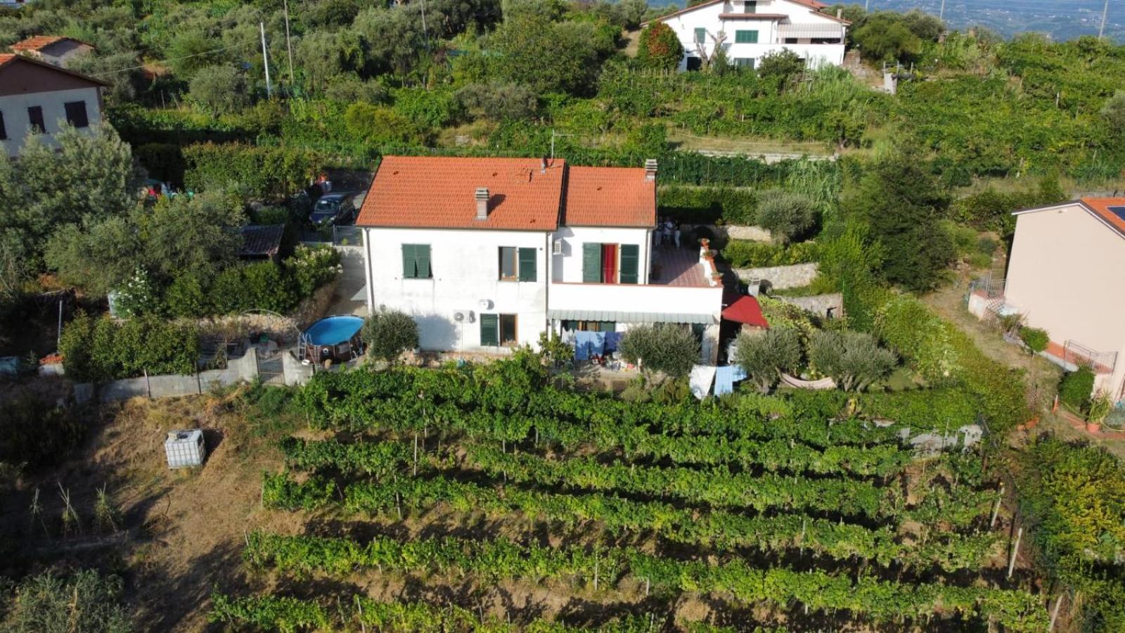 In Vino Veritas 阿尔科拉 外观 照片